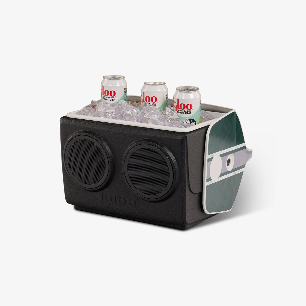 michigan-state-university-kooltunes-f1 00027730-P1.jpg