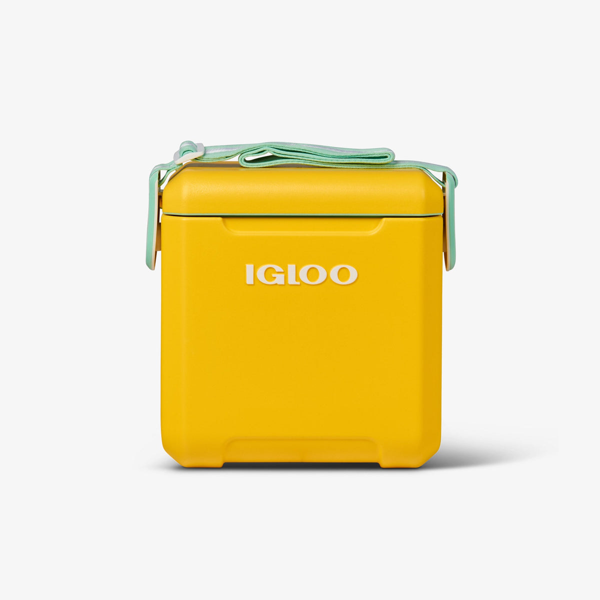 tag-along-too-cooler-u0 00032819_1.jpg