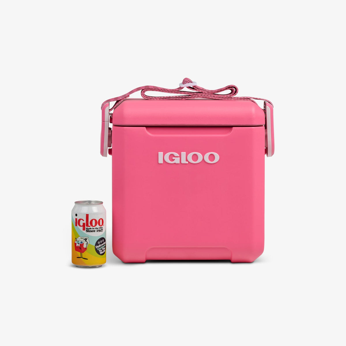 tag-along-too-remix-cooler-i4 00033199-P_861a5cd2-f15c-4217-a471-e33cc3890d9e.jpg