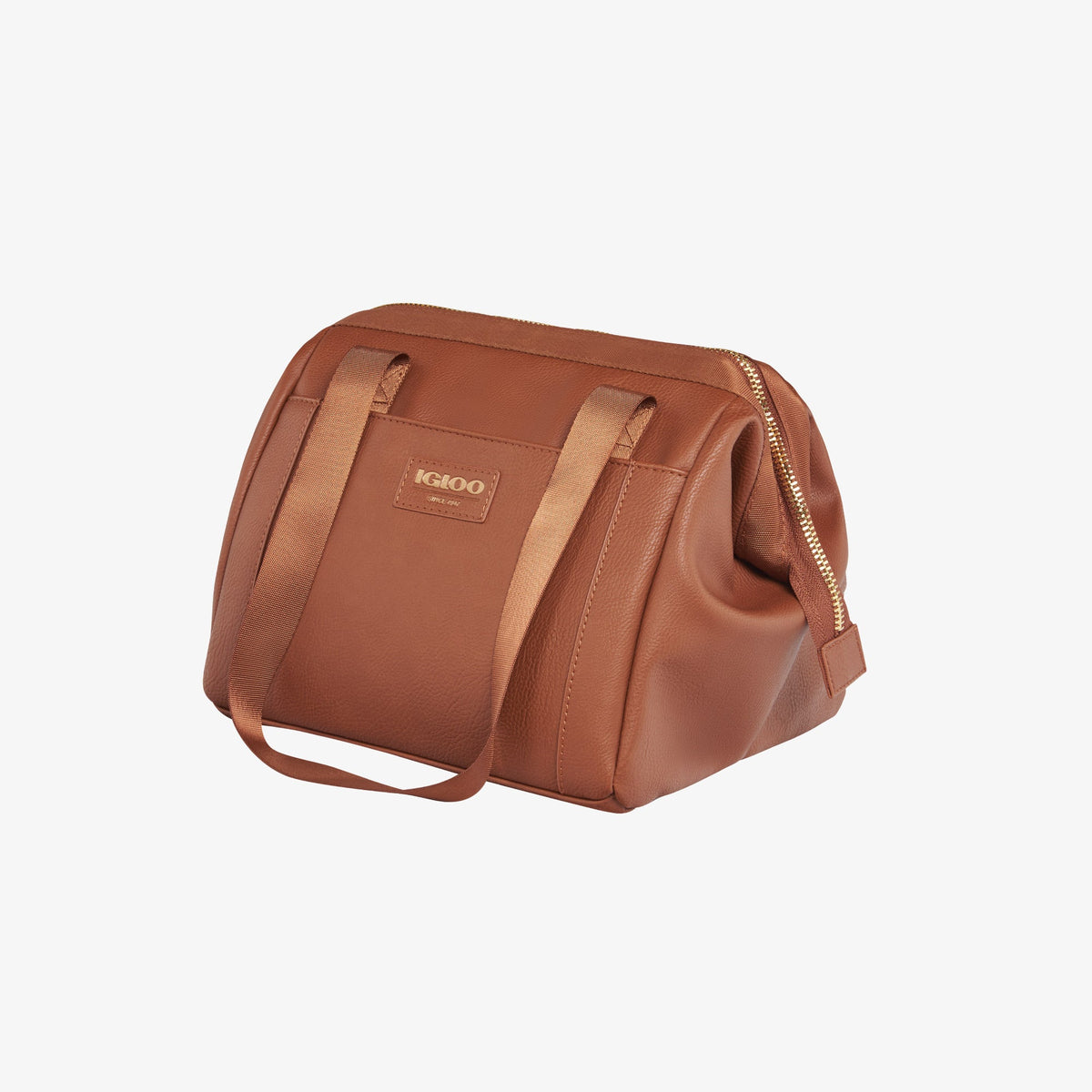 igloo-luxe-lunch-tote-cooler-bag-c3 00061160_2.jpg