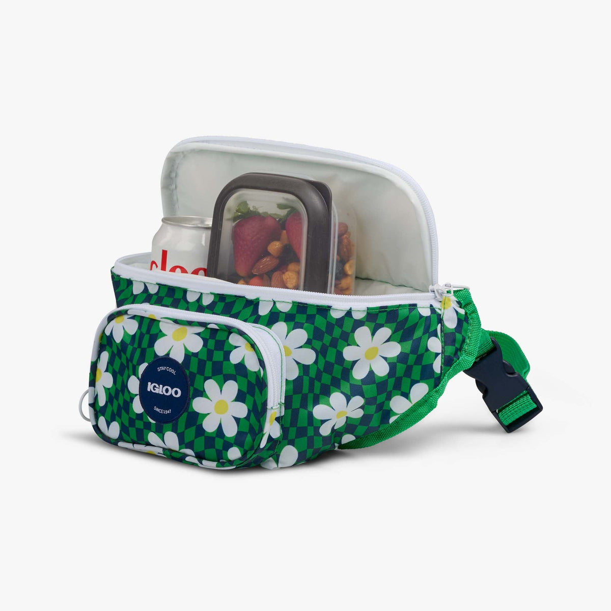 retro-fanny-pack-z2 00067206-P1.jpg